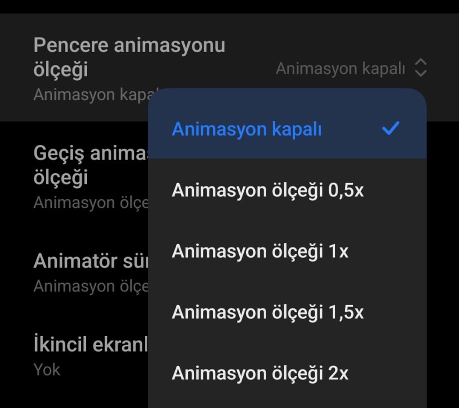 Ekran Parlaklık Seviyesi
