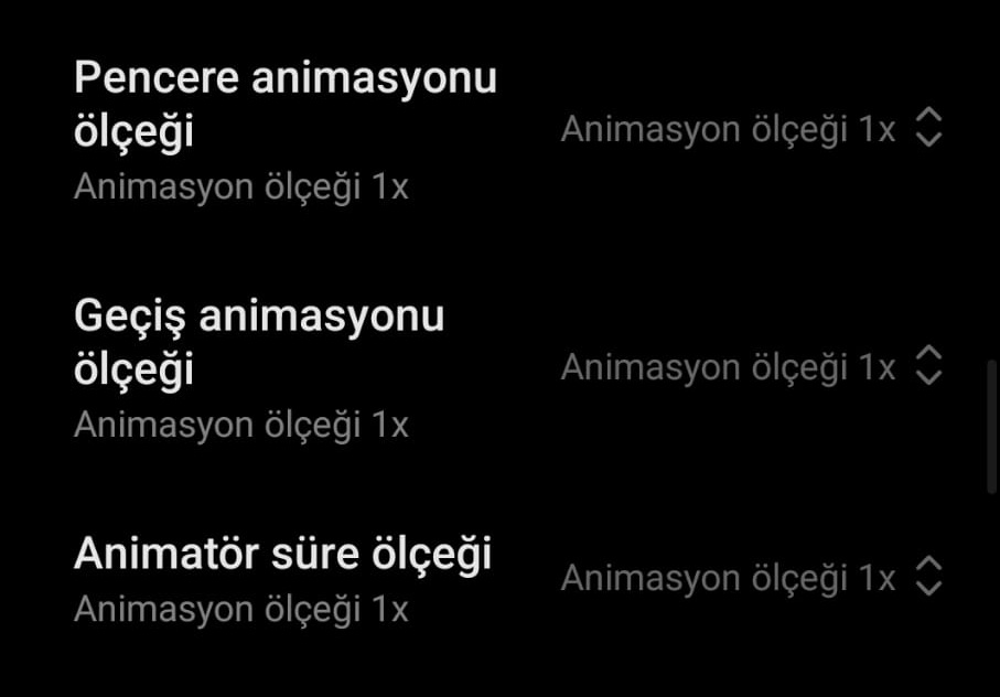 Ekran Parlaklık Seviyesi